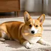 Juguete para morder para perros, palo dental de madera, duradero y resistente a la masticación, juguete anti-destructivo, artículos para mascotas, otros juguetes