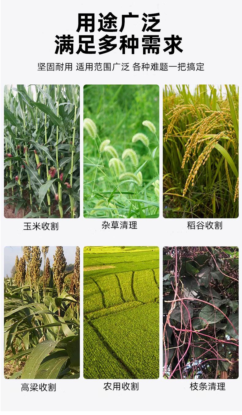 详情页_03