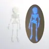Esqueleto Impresso em 3D em Estoque do Fabricante com Articulações Móveis para Crianças, Brinquedo de Halloween, Ímã de Geladeira Criativo