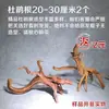 Raíz de azalea de madera muerta hábitat raíz sumidero pecera tanque de plantas acuáticas tanque de selva tropical raíz de árbol rama paisajismo material de micro paisajismo fabricante