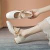 Zapatos Mary Jane Primavera 2023 Nuevos Más Fáciles de Combinar Punta Cuadrada Zapatos de Noche Viento Suave Tacón Bajo Tacón Grueso Zapatos de Hada para Mujer