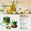 Sets de regalo de velas aromáticas más vendidos para Navidad transfronterizos, tazas de yeso, velas de cera de soja, artículos de regalo festivos, venta al por mayor de Navidad