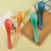 Cuchara de Postre Color Sólido Simple Estilo Coreano Cuchara de Café Cuchara para Niños de Jardín de Infancia Cuchara de Sopa Cuchara de Restaurante Cantina