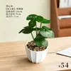 Plantas en maceta en miniatura de hoja verde, vegetación artificial, mini bonsái, decoración del hogar, adornos de interior, vegetación artificial al por mayor