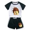 ROBLOX Conjunto de Verano para Niños 2023 Nuevo Algodón Camiseta de Manga Corta para Niños Shorts Casual Delgados Conjunto de Dos Piezas