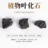 Fósiles Paleontológicos Auténticos Naturales, Fósiles de Trilobites y Dinosaurios, Corales de Espuma, Amonites, Adornos Decorativos de Colección