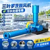 Ventilador Soplador de Raíces de Tres Aspas, Directo de Fábrica, Especializado para la Industria Química, Aeración de Estanques Bioquímicos, Equipo Integrado para Aguas Residuales