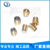 Tapón de garganta de expansión de parada de agua para molde serie HASCO alemán Tornillo Z942/8 (fabricante)