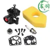 795477 794161 498811 795469 794147 699660 Filtro de Aire para Carburador Briggs & Stratton