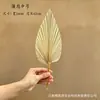 Hojas de palma secas, grandes frondas de palma, arreglos florales de estilo natural para floristerías, textiles para el hogar, decoraciones de arcos, decoraciones para escenas de bodas, hojas de palma