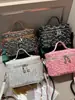 Bolsa Nueva de Invierno 2025 para Mujer Bolsa de Almacenamiento de Gran Capacidad Bolso de Hombro Cruzado Bolso de Mano Set Completo con Sello de Plástico Versátil