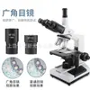 WF10X/16wf16x/11 ransden interfaz de ocular universal de campo amplio para microscopio biológico 23.2mm