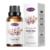 Óleo essencial de aromaterapia solúvel em água transfronteiriço 30ml umidificador interno fragrância sem álcool sem fogo suplemento de aromaterapia vegetal