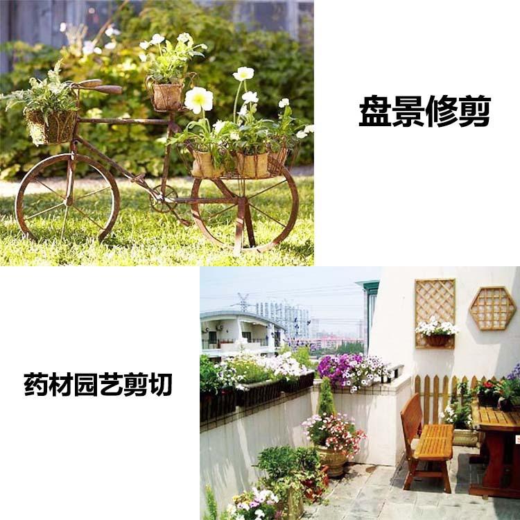 TB2L3LBX4eEJuJjy1XaXXXPhVXa_!!