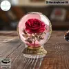 Impresión Plana Transfronteriza 2D Plano Rotación de 360 Grados Escena de Nieve Casa de Pingüinos Decoración de Escritorio Interior y Exterior Festival
