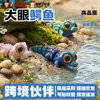 Crocodilo Estrábico Olhudo Amazônia Simulação Animal Pequeno Articulado Móvel Integrado Fofo Ornamento Festival Impressão 3D