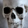Nuevo esqueleto humano artificial de Halloween transfronterizo 165 cm accesorio de plástico para bares, casas embrujadas y salas de escape
