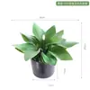 Suculenta Verde de Agave Simulada en Maceta Planta Verde Bonsái Decoraciones de Escritorio Adornos Tienda en Casa Ventana Paisajismo Plantas en Maceta