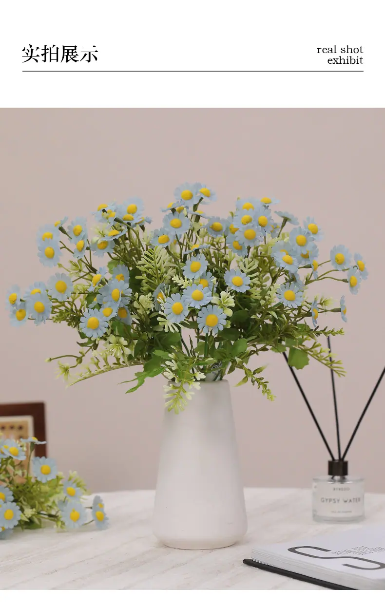 元霜春把束小雏菊_05.jpg