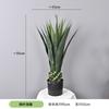 Planta Verde Simulada Pequena Planta em Vaso Suportes Orquídea Tigre Personalizada, Agave, Folha de Ninho de Pássaro, Folha de Dinheiro, Sisal de Cica