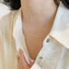 Collar de Acero de Titanio con Lentejuelas Brillantes de Diamantes Estilo Francés Luz Estrellada Lujo Brillante Cadena de Clavícula Gipsófila Moda para Mujer Exquisito Gama Alta