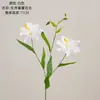 An Xu Lírio de Pétalas Duplas Decoração Buquê de Casamento Parede de Flores de Rosa Flor Artificial INS Transfronteiriço Flor de Simulação Fabricante Casa