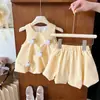 Conjunto de Vestido de Verão para Meninas, Sem Mangas, Design de Pato 3D, Vestido Princesa Fofo e Estiloso para Crianças Pequenas, Conjunto de Duas Peças