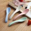 Set de Tazón y Palillos Domésticos de Estilo Japonés Vajilla Simple de Paja de Trigo Platos y Platos Tazón de Plástico para Alimentos Resistente a Caídas Traje Familiar
