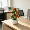 Amazon bonsai artificial de 7 árvores frutíferas, plantas frutíferas festivas e prósperas em vasos para decorações de casa e sala de estar