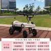Carro Elétrico Twist Versão Adulto Alta Potência Adulto Antirrolagem Deslocamento para o Trabalho Alta Velocidade Longa Autonomia Modificação