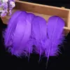 Cerca de 50 Fabricantes Vendem Diretamente Penas de Ganso Coloridas, Penas Grandes Flutuantes, Filtros dos Sonhos, Varinhas para Gatos, Artesanato, Decorações, Adereços para Fotografia de Casamento
