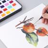 Qiao Nei Qiao Nei Pluma Gouhui de Lana de Nylon Individual Pluma Gouhui para Acuarela Pluma Gouhui para Pintura al Óleo Pluma Megonomeque para Bellas Artes