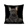 Funda de Almohada de Perro de Alpaca Más Vendida Transfronteriza, Linda Funda de Cojín Decorativa para Dormitorio de Gato, Hogar, Sofá