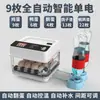 Incubadora Totalmente Automática Incubadora Casera para Niños Incubadora Pequeña para Huevos de Gallina Aislamiento Rutinario Temperatura Constante Huevo Inteligente
