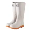 Botas de Lluvia Impermeables Antideslizantes de Caña Alta para Mujer Transfronterizas, Estilo de Ropa Exterior de Moda, Botas de Lluvia con Forro de Polar, Botas de Agua para Día Lluvioso, Zapatos Largos de Goma