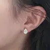 Exquisitos Pendientes de Gota de Agua Brillantes para Mujer, Lujo Accesible, Pendientes de Circonita de Alta Gama, Accesorios de Diseño Pequeños y Versátiles