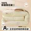 Núcleo de edredón nuevo de algodón de Xinjiang 2026, engrosado para dormitorios, edredón individual para estudiantes, adecuado para primavera, otoño e invierno, y las cuatro estaciones