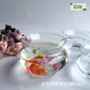 Tanque de peces redondo de cristal transparente con encaje, tanque para tortugas, peces dorados, jarrón de cristal hidropónico, mini tanque de peces ecológico con encaje