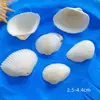 Concha de Caracol Natural Perforada con Agujero Concha de Caracol Colgante Hecho a Mano para Pendientes Collares Carrillón de Viento Material para Manualidades DIY