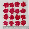 Flor de golondrina voladora Flor Chikowan Flor seca Flor amarga Marcador en relieve DIY Pegamento de gota Carcasa de teléfono móvil con flor seca Espécimen de planta Flor facial