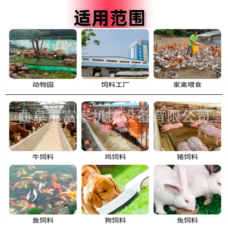 自定义模板 (1)
