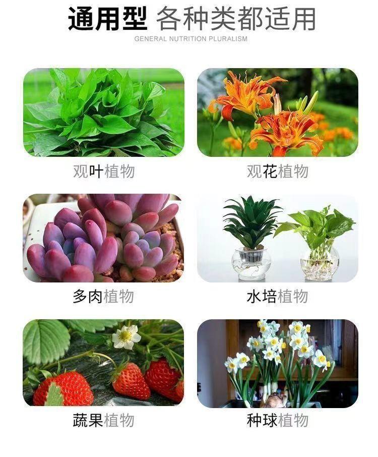 微信图片_20241226165303.jpg