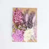 Decoración artesanal DIY mixta, set de flores eternas y flores secas, material para marco de fotos DIY, material de flores, bolsa para repujado