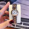 Micro-Negocio Dropshipping Reloj para Mujer Langjia Xinyue con Fase Lunar, Cuarzo, Correa de Acero, Reloj de Moda para Mujer, Fábrica de Xiwu Reclutando Agentes para Venta al por Mayor