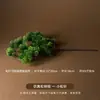 Novo Paisagismo com Madeira Flutuante Estilo Chinês, Adereços Fotográficos de Madeira Morta, Fotografia de Natureza Morta com Joias, Galhos, Enfeites Decorativos de Madeira