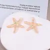 Parche de Resina de Estrella de Mar Grande Semitransparente con Lentejuelas de Colores Pasador Tocado Flor para Zapatos Accesorios de Joyería DIY Fabricante Mayorista