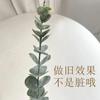 Hojas de Eucalipto Artificiales para Jardinería, Decoración de Arreglo Floral de Tallo Único, Paisajismo con Plantas Falsas
