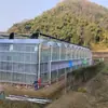 Proyecto de Invernadero de Vidrio para Turismo, Educación en Ciencias Agrícolas e Invernadero Paisajístico, Diseño y Construcción de Invernadero para Parque de Demostración de Ocio