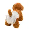 Pañales transfronterizos que cambian de color para mascotas, pantalones fisiológicos, compresas sanitarias para perras, ropa interior de seguridad, pañales para perros machos