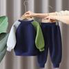 Bebê primavera roupa terno 2024 novos meninos primavera e outono patchwork manga dinossauro duas peças conjunto roupas de bebê moda